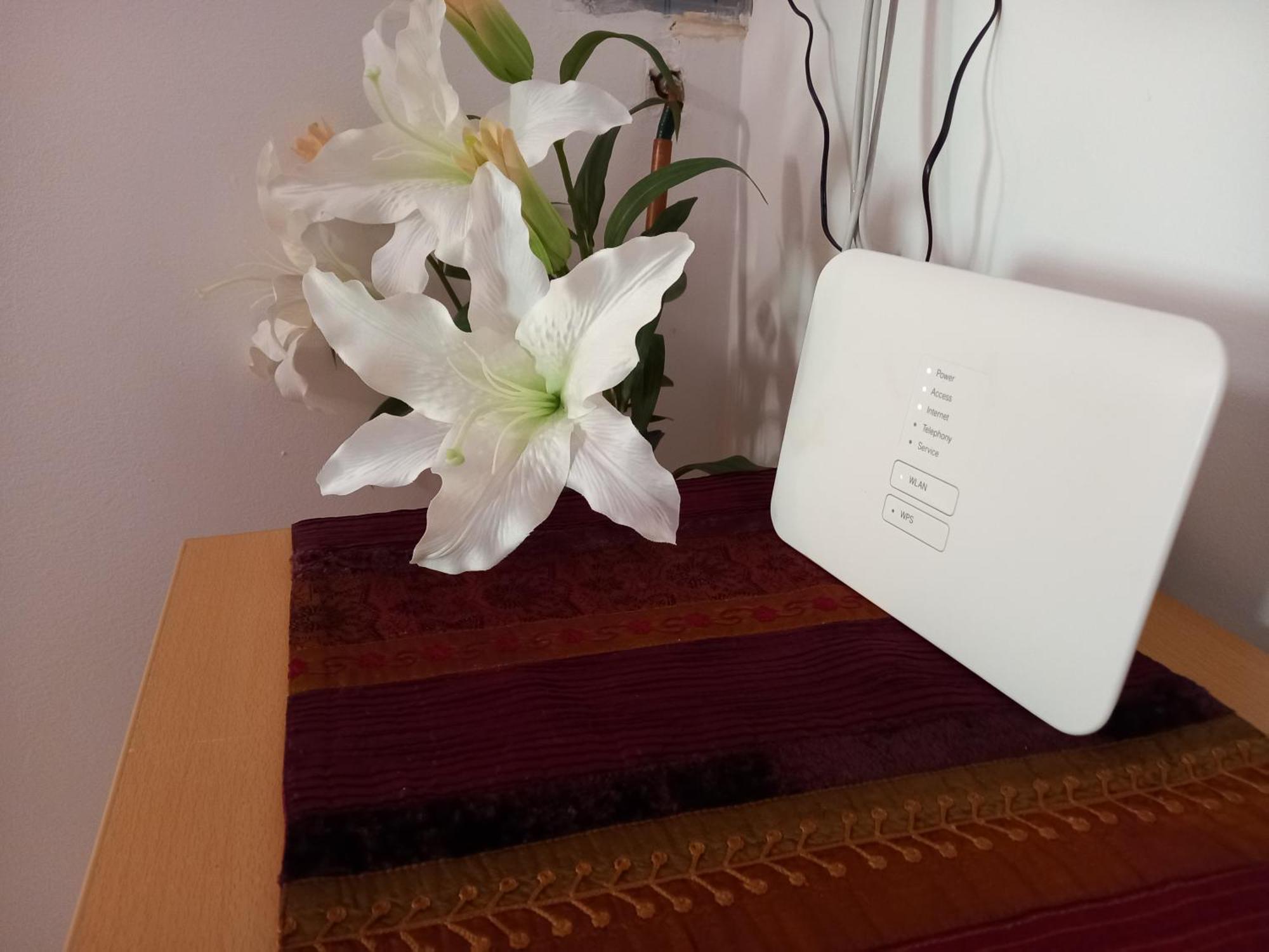 Feher Barany Apartment 시글리게트 객실 사진